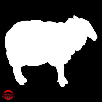 שבלונה של כבשה
