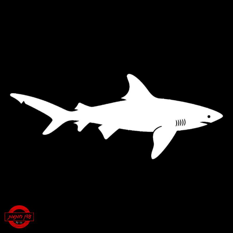 שבלונה של כריש